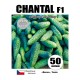 Огірки Шанталь F1 (Chantal F1)